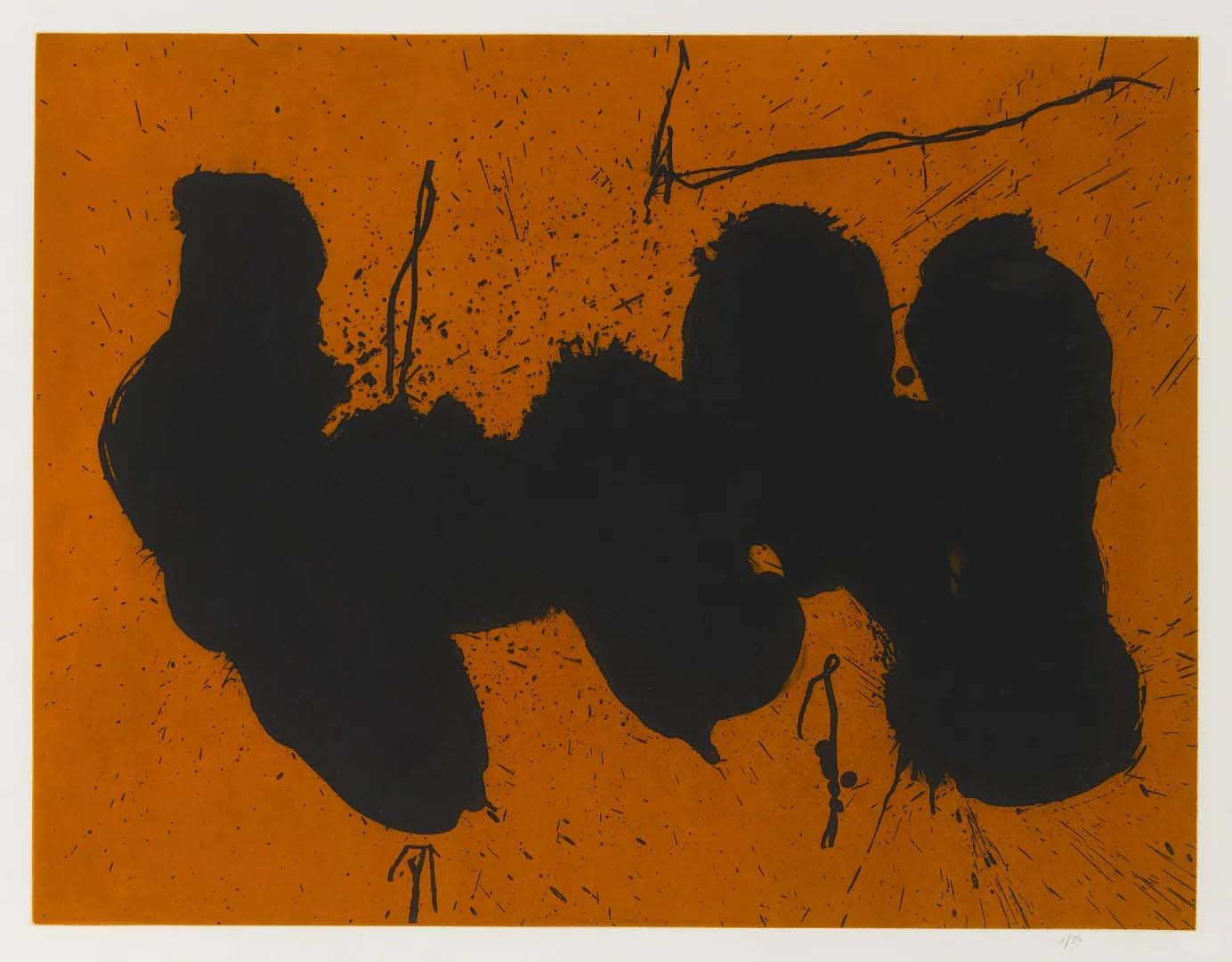 Robert Motherwell